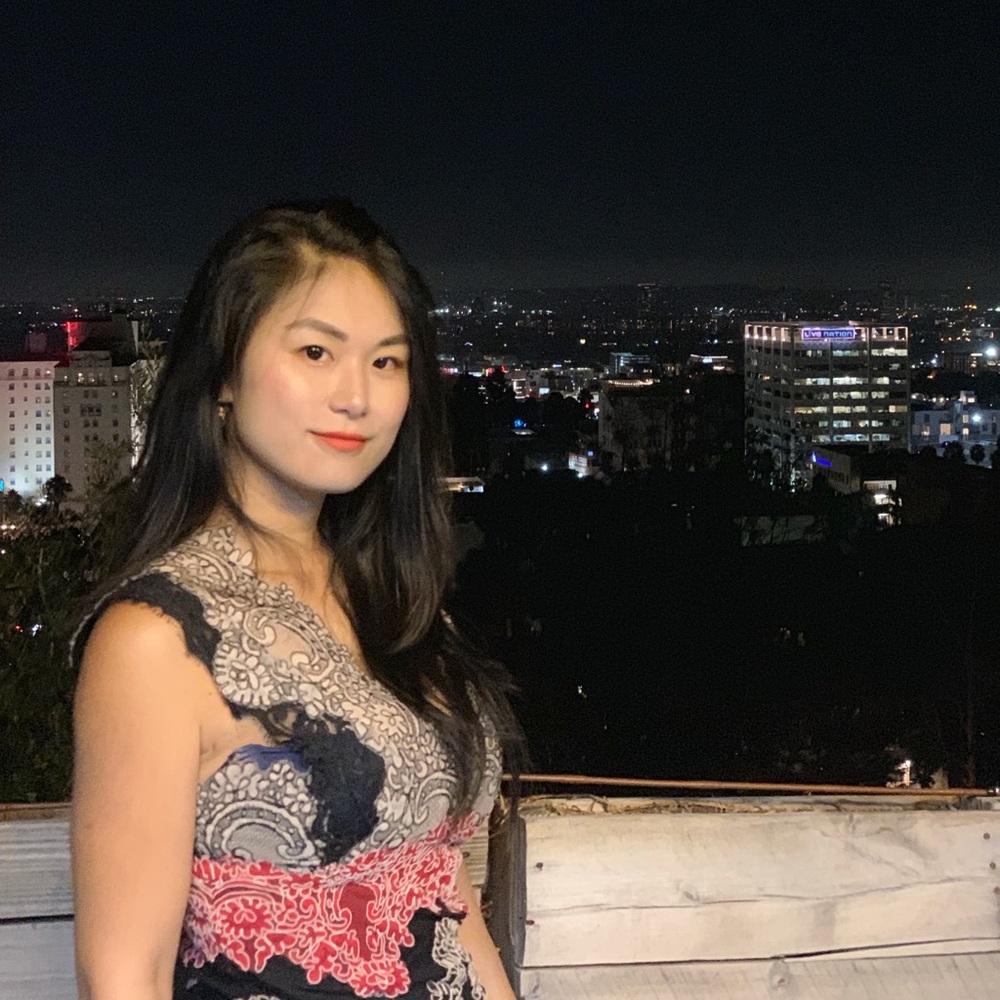 Sandro Baroque Pink black lace dress beauty